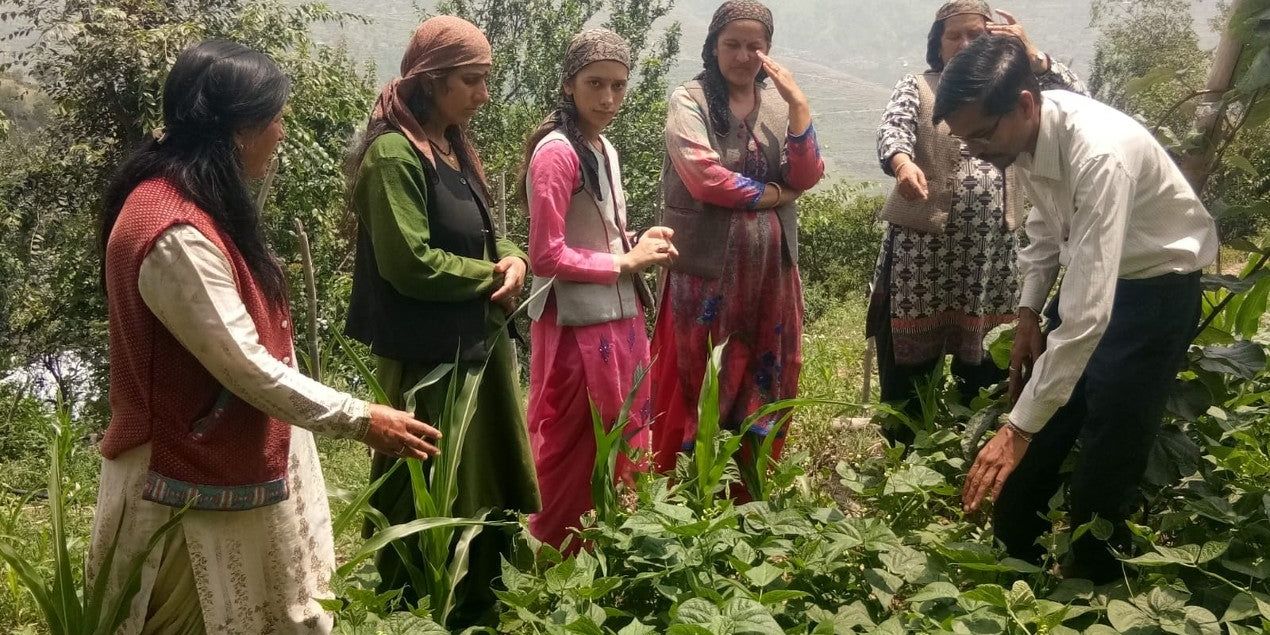 The Daughter of the Mountains: Women’s Vitality in Rural Himachal Pradesh