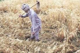 POLICY DIALOGUE ON “INNOVATIONS IN ENSURING REMUNERATIVE PRICES (MSP) TO FARMERS”: CHALLENGES AND STRATEGIES