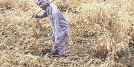 POLICY DIALOGUE ON “INNOVATIONS IN ENSURING REMUNERATIVE PRICES (MSP) TO FARMERS”: CHALLENGES AND STRATEGIES