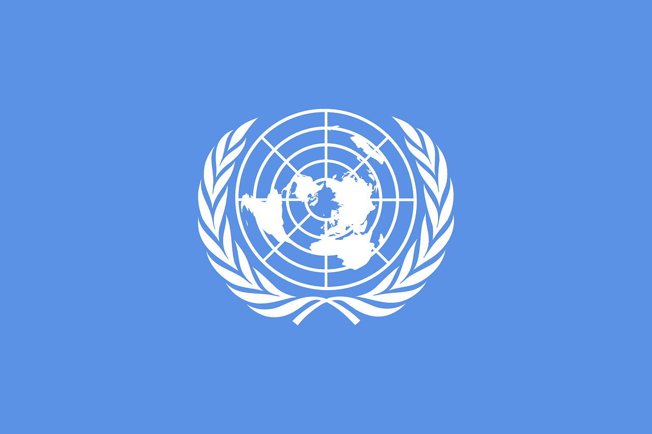 Model United Nation: A Useless Space for Breeding Inaction