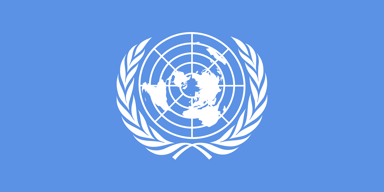 Model United Nation: A Useless Space for Breeding Inaction