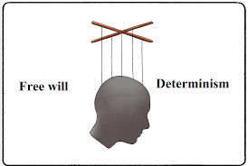 Between Determinism and Free Will: Are you Free to Choose?