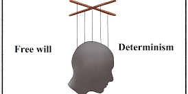 Between Determinism and Free Will: Are you Free to Choose?