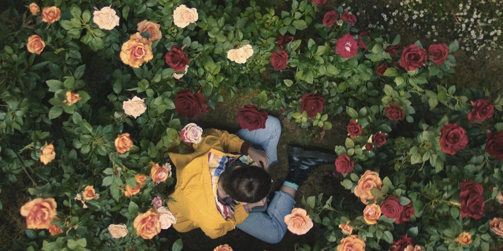 Jandy Nelson’s The Sky is Everywhere: A Heart-Wrenching Story