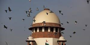 STATE, MEDIA AND A MINORITY INSTITUTION