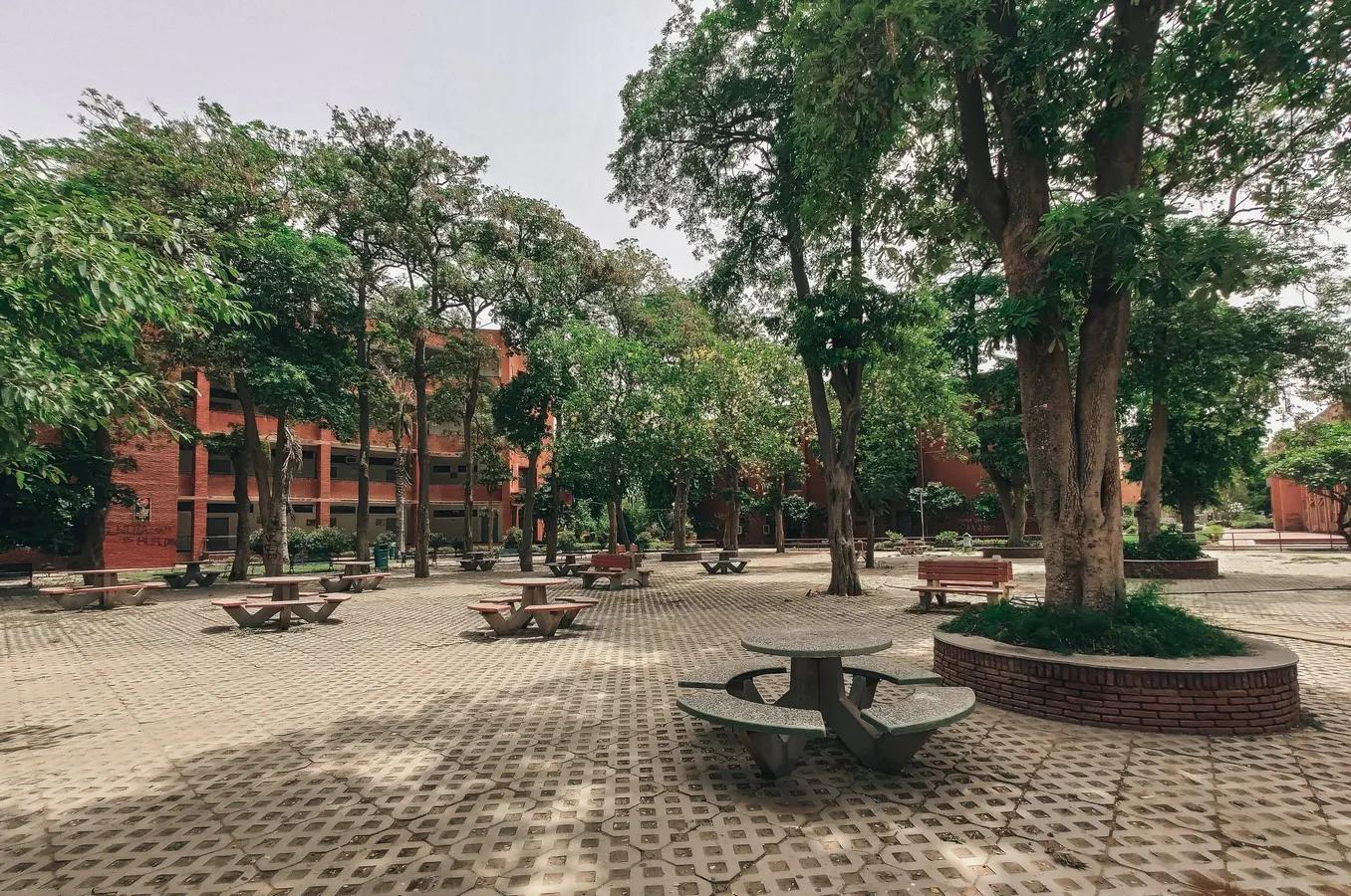At the End of My First Semester at Jamia
