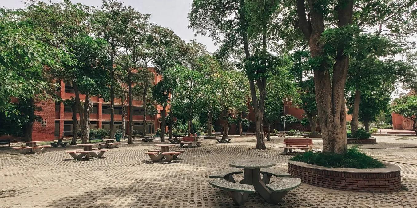 At the End of My First Semester at Jamia