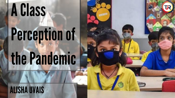 A Class Perception of the Pandemic