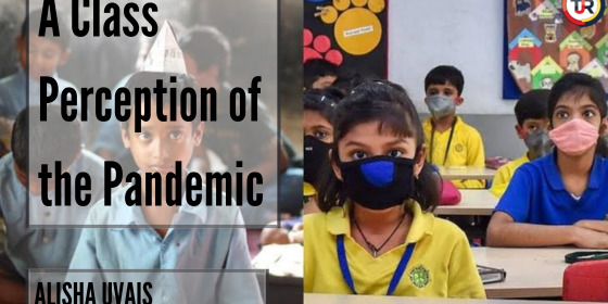 A Class Perception of the Pandemic