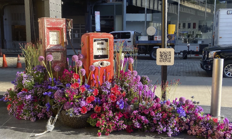 Two vintage red gas pumps are surrounded by a vibrant display of purple, pink, and red flowers on a sidewalk.