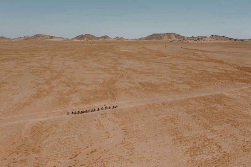 an aerial view of a group of people riding camels in the desert .