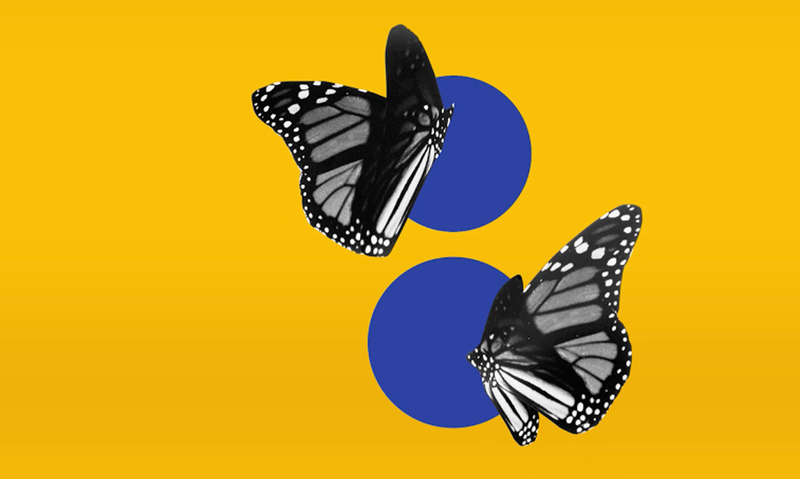Two grayscale monarch butterflies, each partially overlapping a blue circle, on a yellow background.