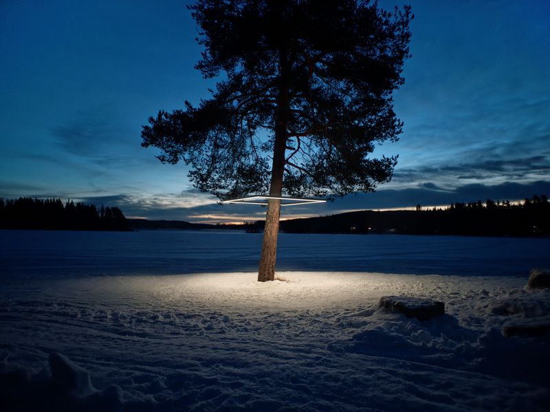 a tree is lit up in the middle of a snowy field at night .