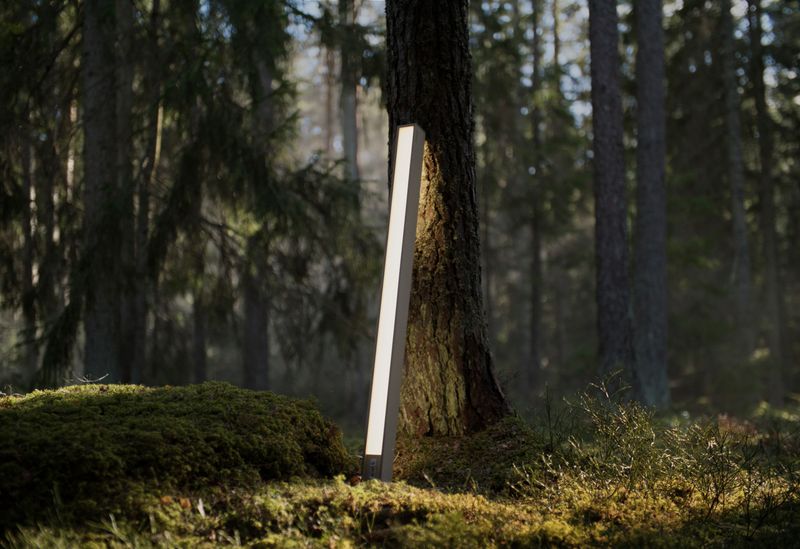 a light is sitting next to a tree in the middle of a forest .