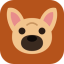 icon of French Bulldog Puppies Singapore