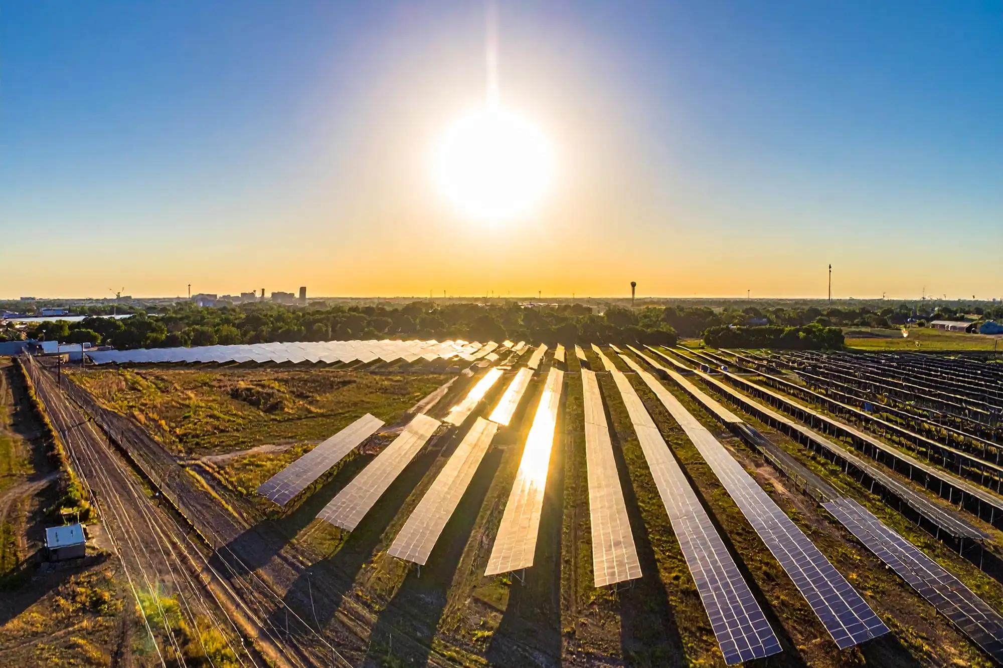 Large solar farm with long rows of panels under a bright sun