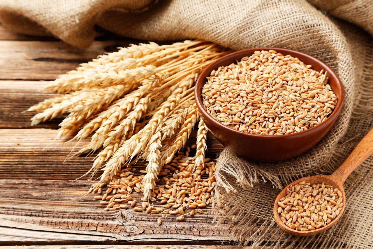 Germen de trigo : : Alimentos y Bebidas