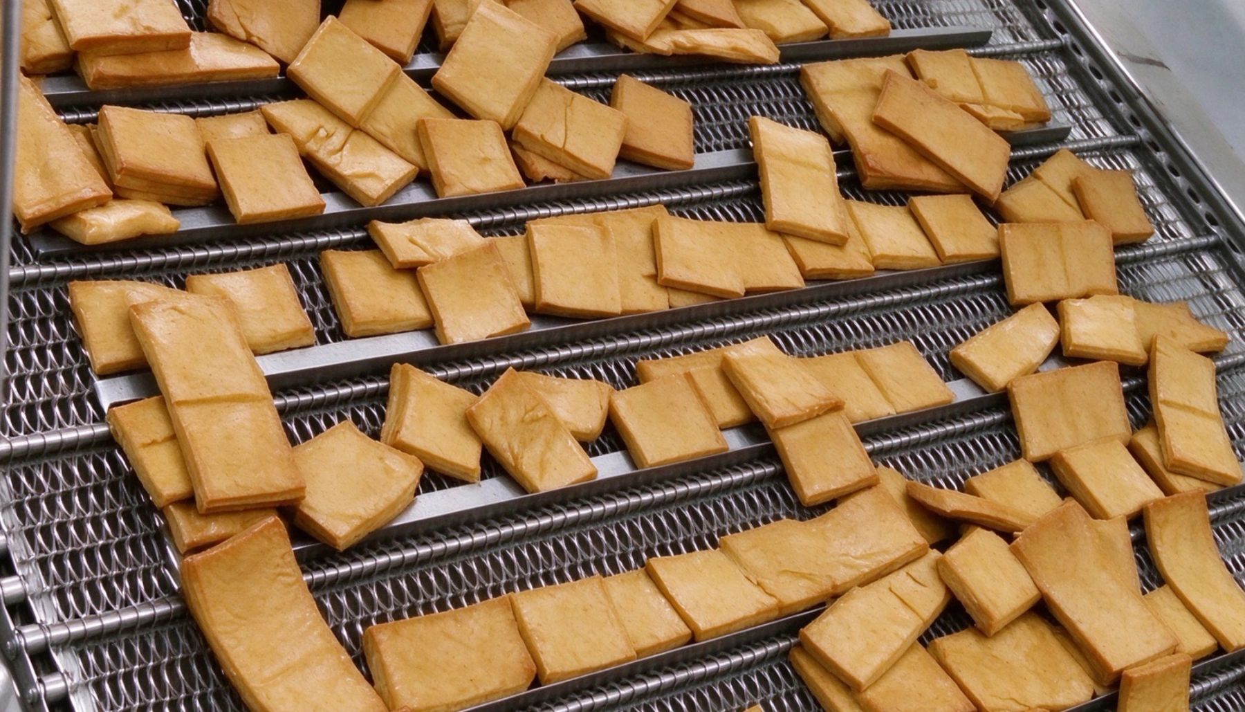 Pieces of dougan moving along a production conveyor