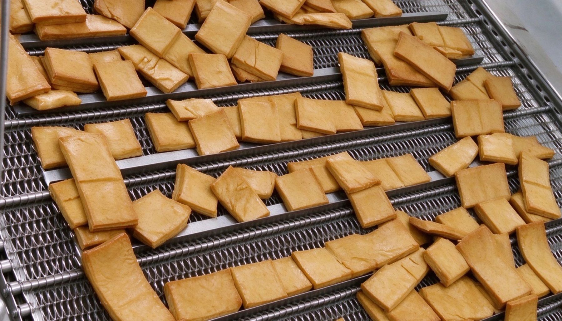 Pieces of dougan moving along a production conveyor