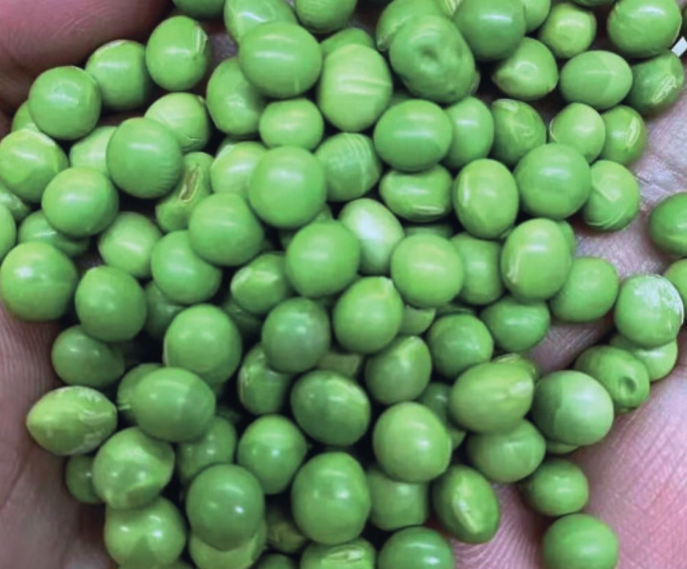 Raw green soybeans