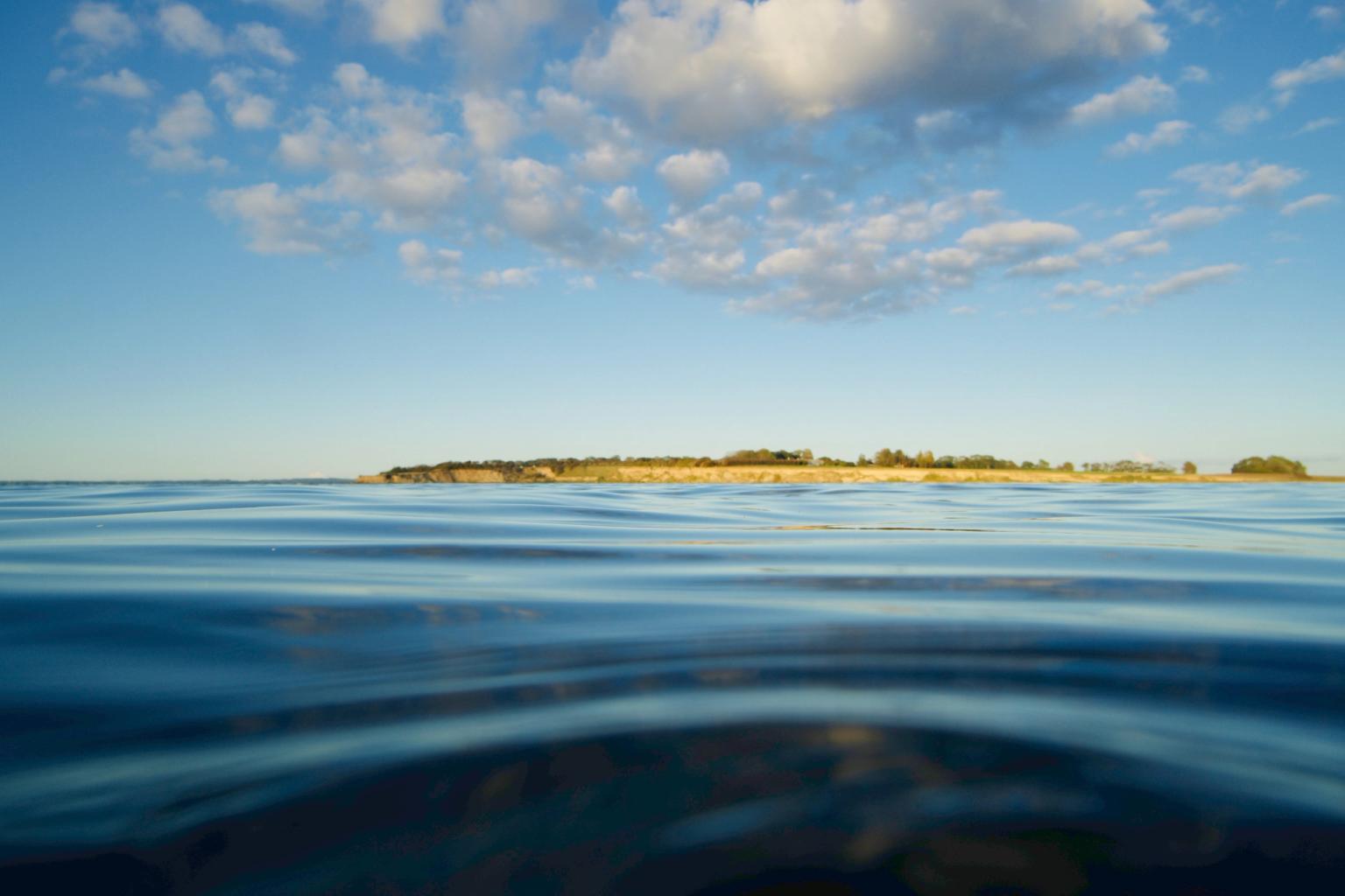 image-455426bb88848cdb7f63aa2a73b3b052e711d77e-6000x4000-jpg