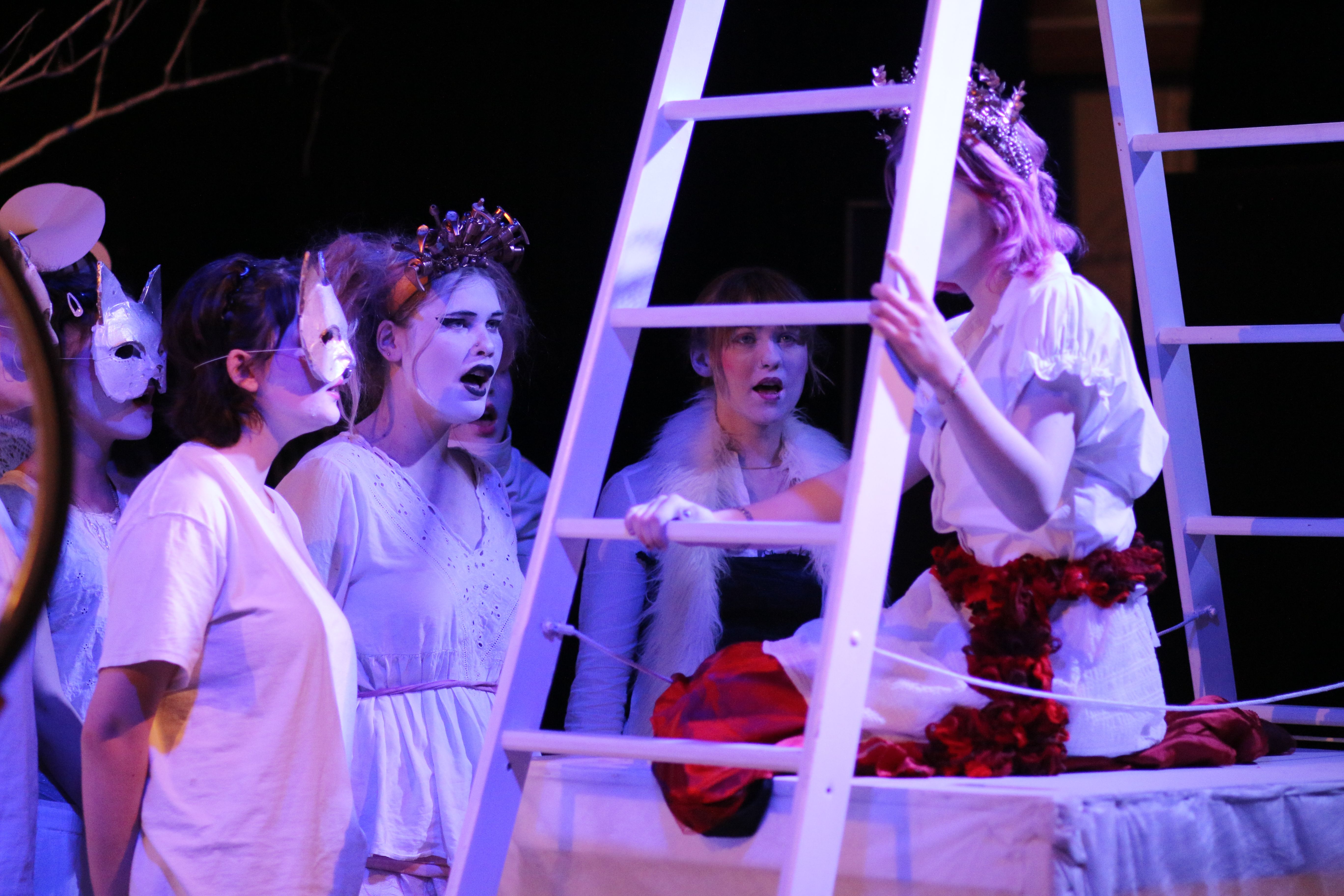 image-4a0bb3fe3212d2316413e6f66bf45f26a9aefada-5472x3648-jpg