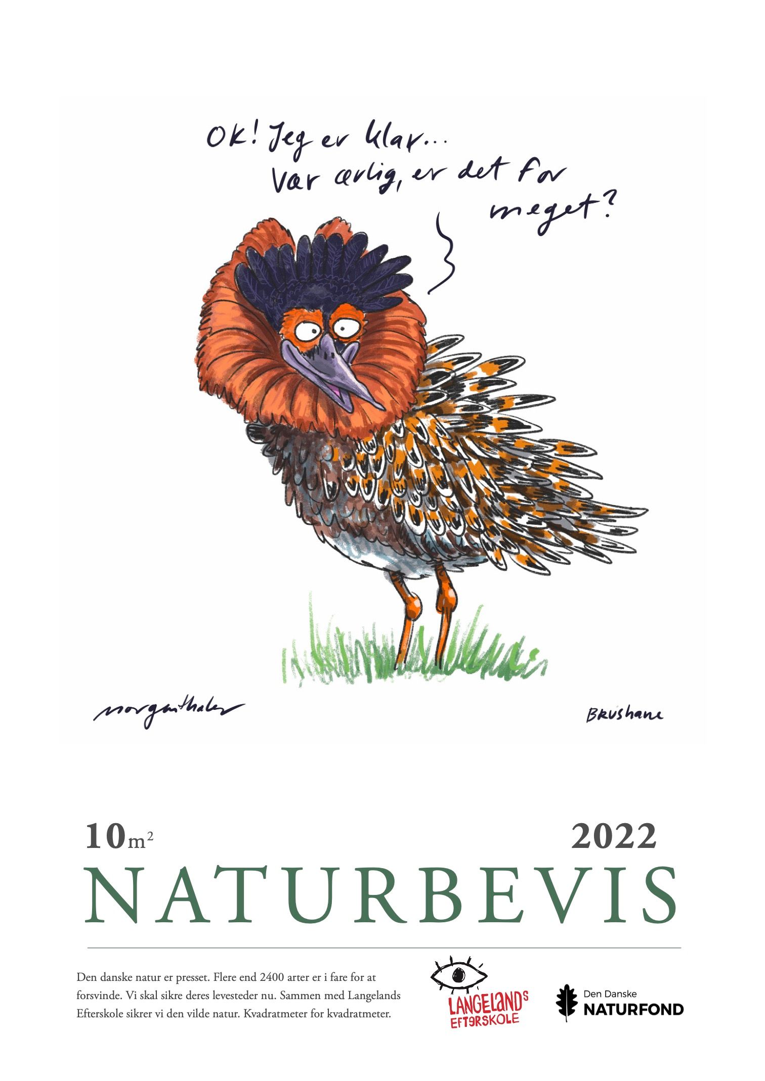 image-6517bef33bcfd44d6b6307a396cb41e5fcac7a86-1512x2138-jpg