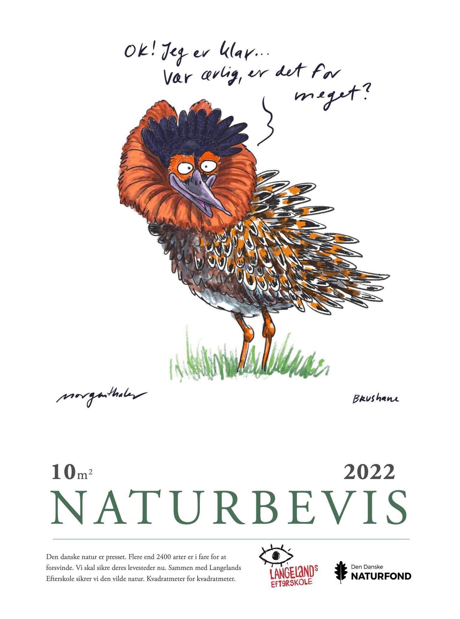 image-6517bef33bcfd44d6b6307a396cb41e5fcac7a86-1512x2138-jpg