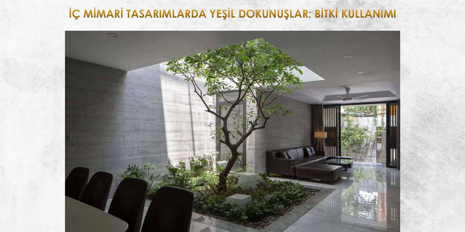 İÇ MİMARİ TASARIMLARDA YEŞİL DOKUNUŞLAR: BİTKİ KULLANIMI