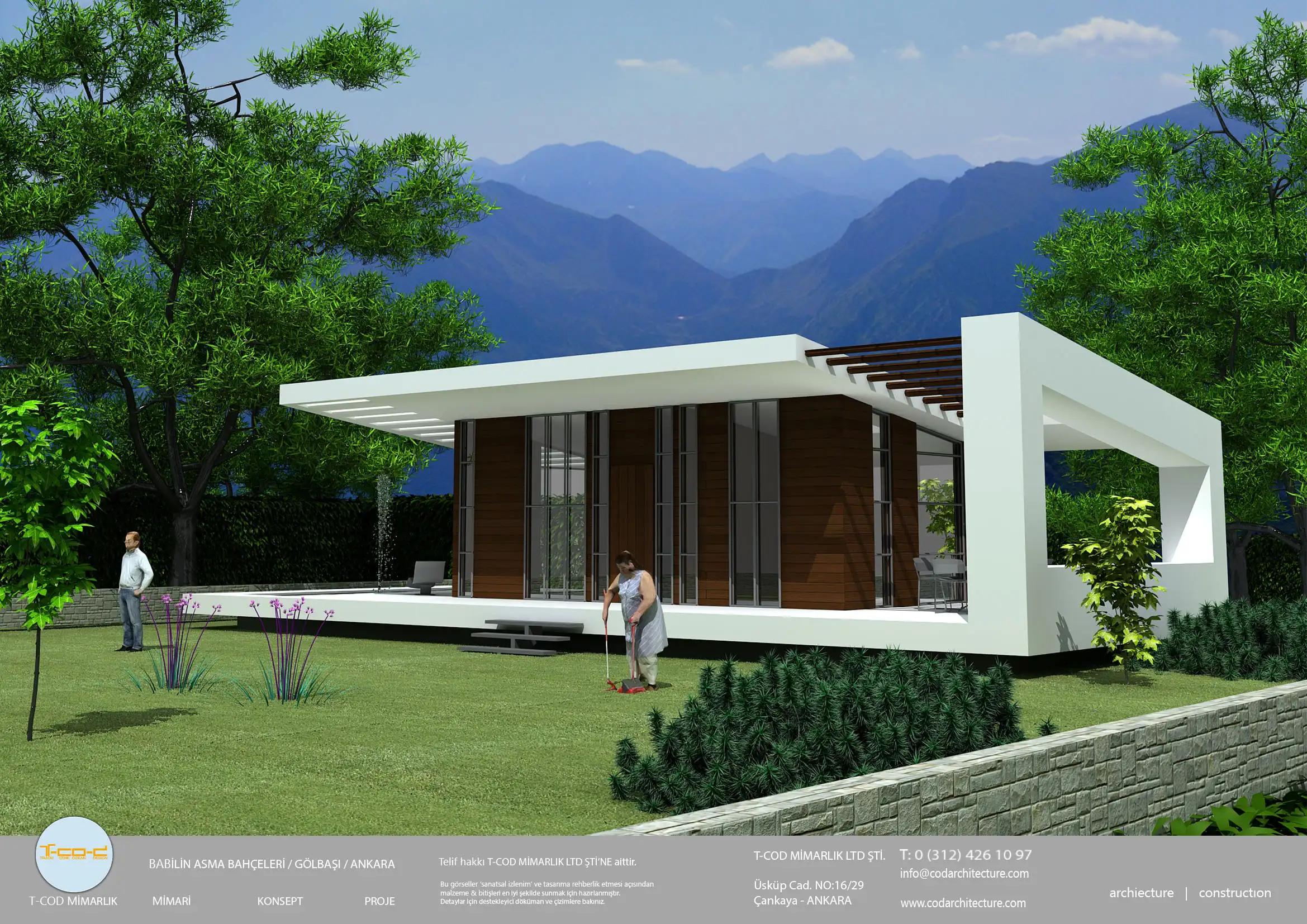 BABİLİN ASMA BAHÇELERİ