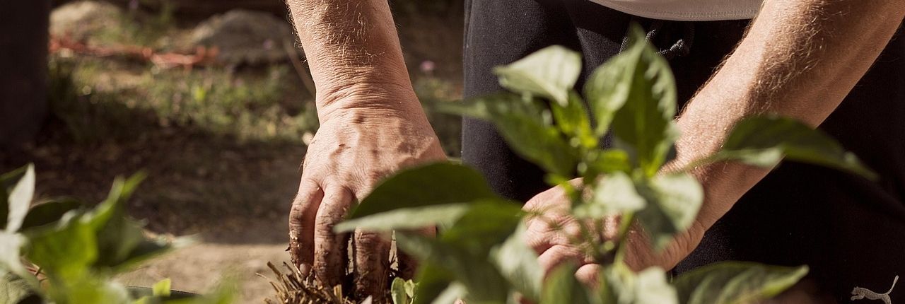 Stimmungsbild für saisonale Bepflanzung direkt vor Ort bei Kundinnen und Kunden