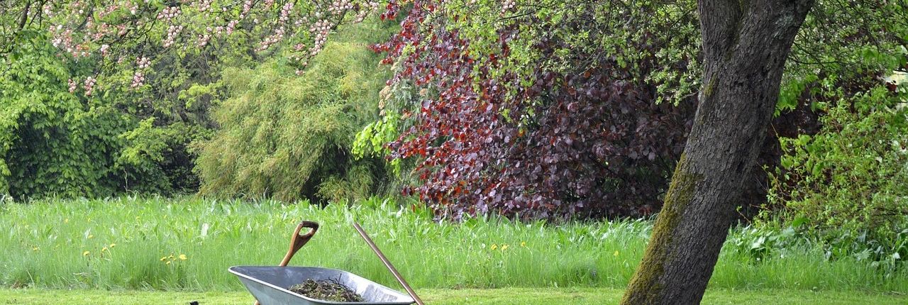 Stimmungsbild für gepflegte Gartenflächen durch regelmäßige fachgerechte Gartenpflege