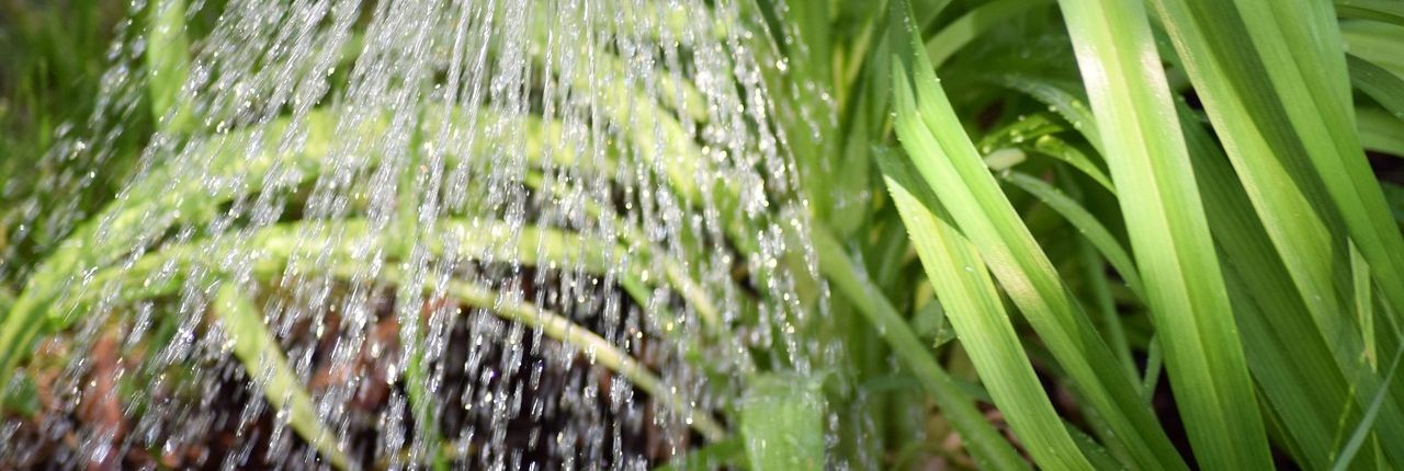 Stimmungsbild für Gartenpflege mit Werkzeug und Material direkt vor Ort