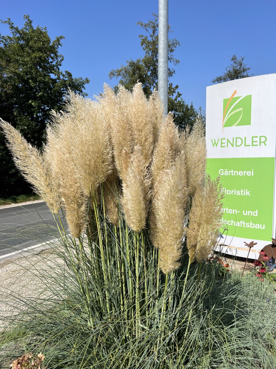Blumen & Gärtnerei Wendler