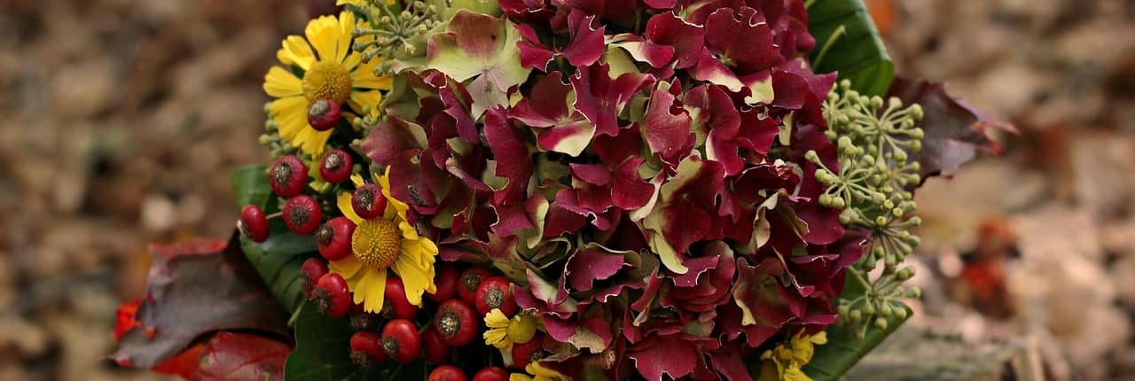 Stimmungsbild für einen hochwertigen Blumen-Geschenkgutschein