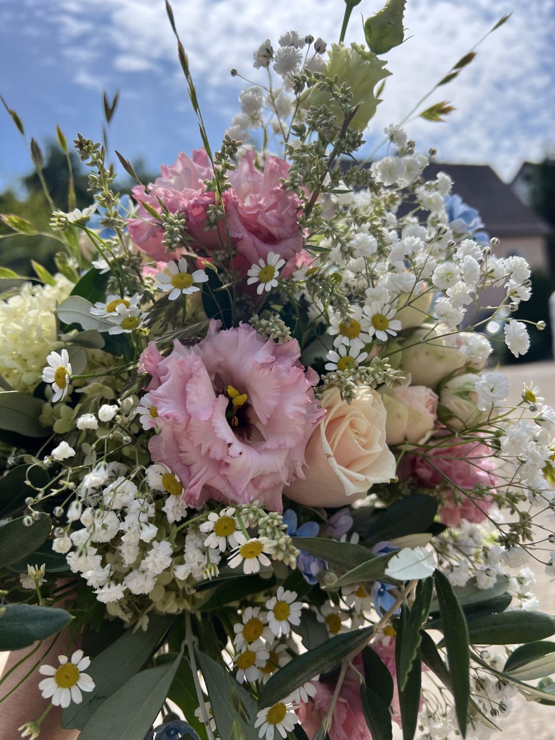 Blumen in kräftigen Rosé- und Apricot-Tönen