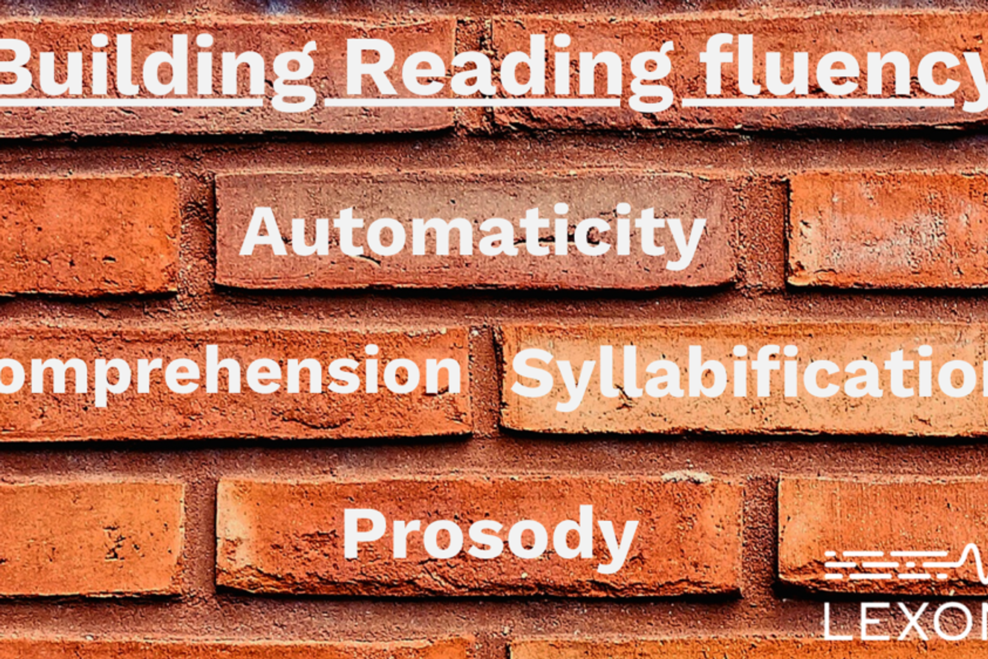 A brick wall with text on the bricks: "Building reading fluency", "Automaticity", "Comprehension", "Syllabification", "Prosody""