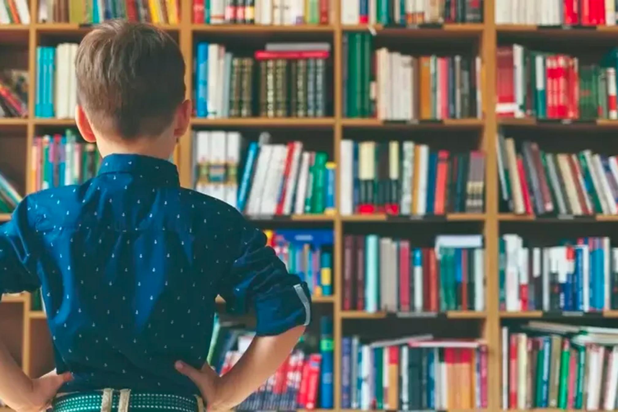 A young boy with his hands on his hips looking at a wall of books in a bookcase