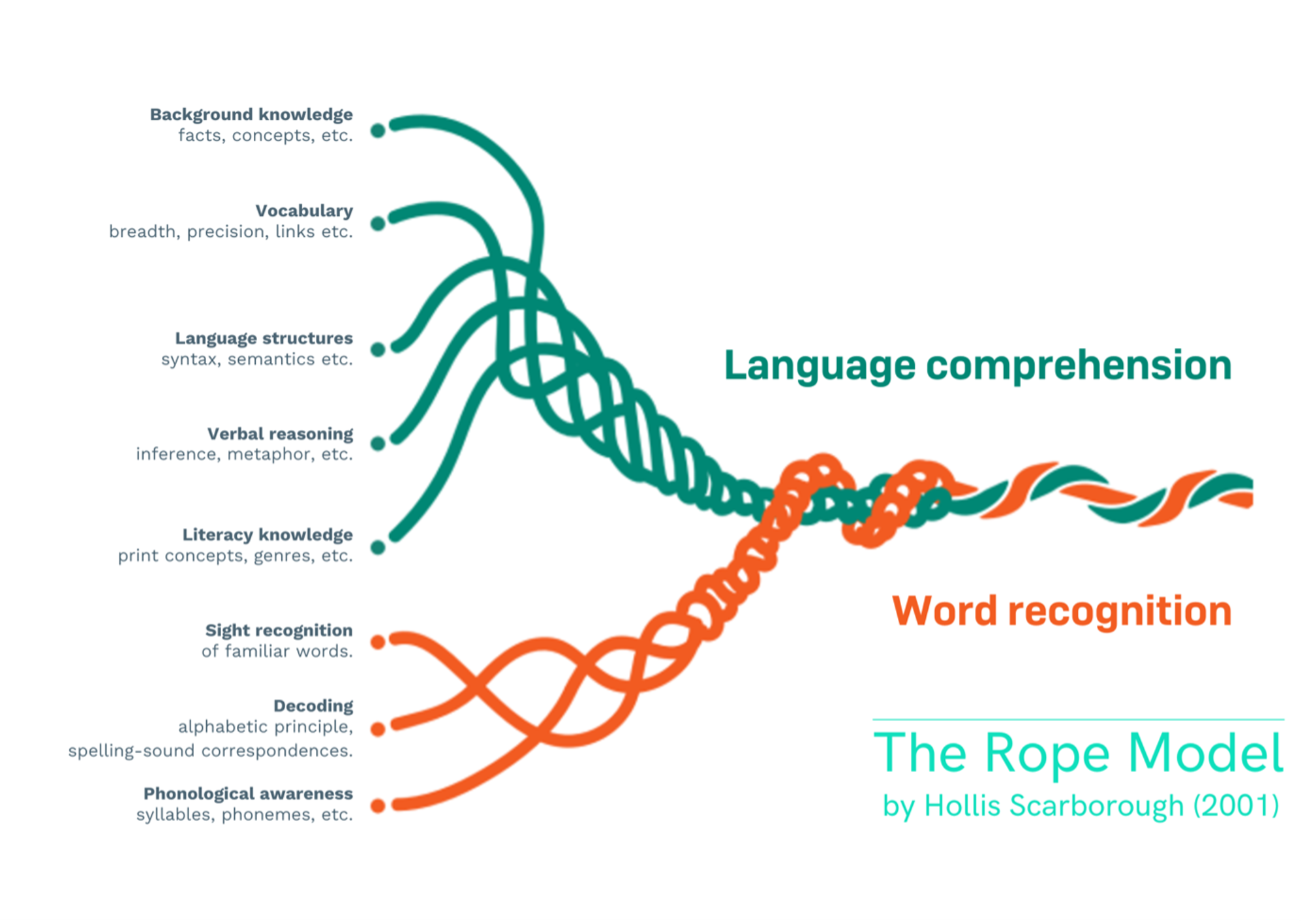 A graphic showing the threads within the two ropes of Scarborough's Rope Model (2001)