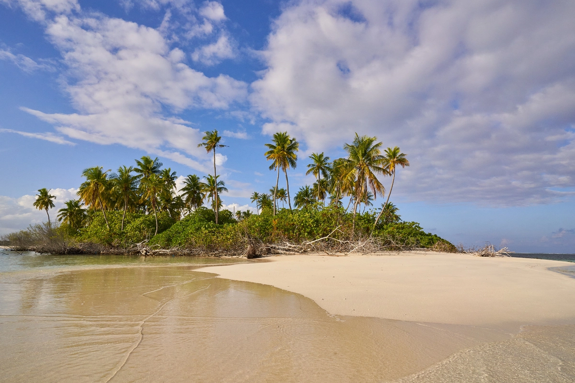 A desert island populated with palm trees, a view from a beach.