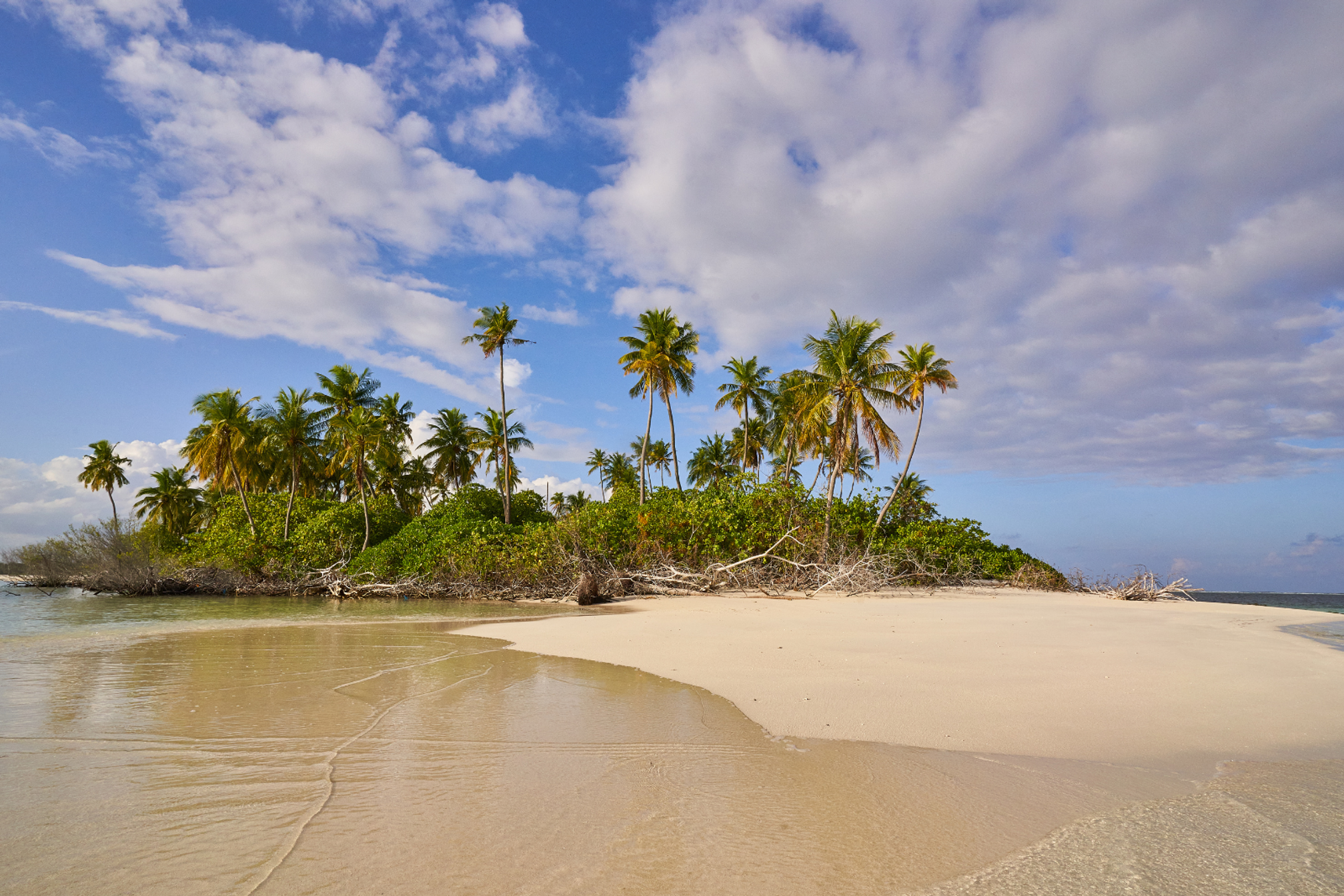 A desert island populated with palm trees, a view from a beach.