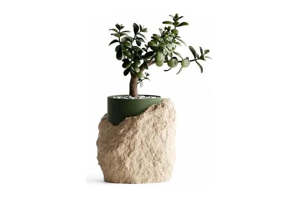 Vaso Stratum