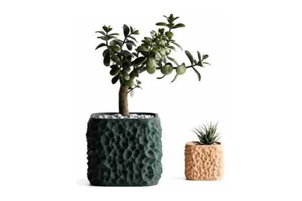 Vaso Terraforma