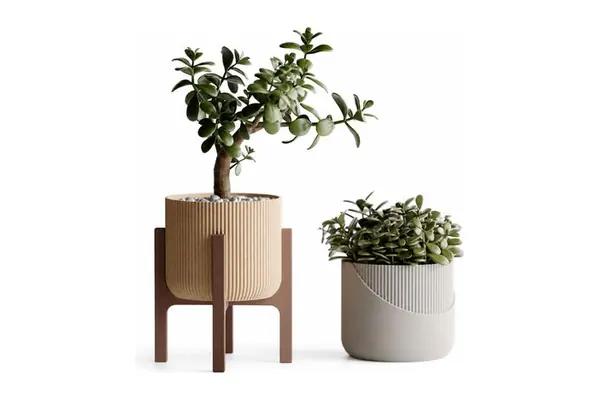 Vaso Elevare