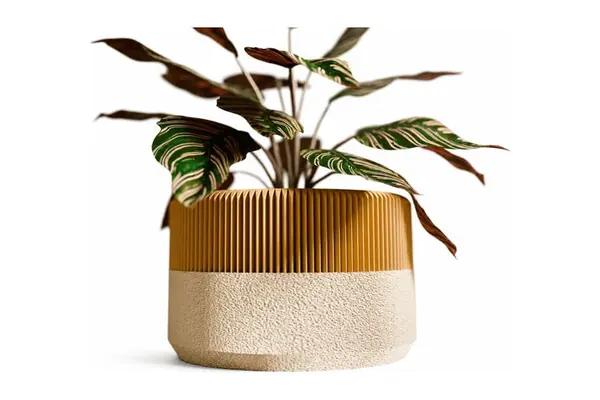 Vaso mid-century com prato