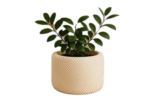 Vaso Claudia (botanical chic)