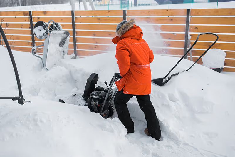 Ice Management