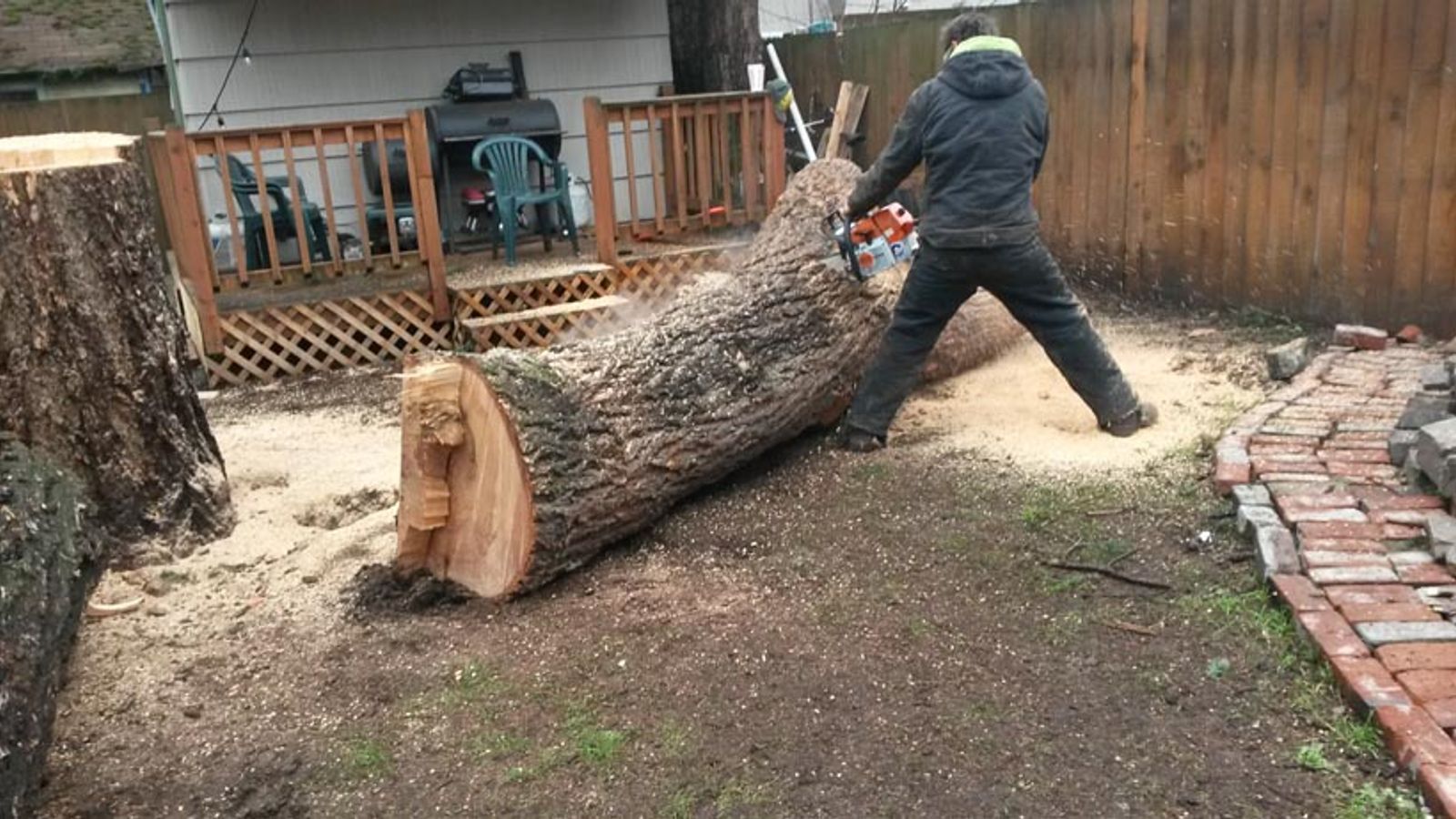 tree and other stuff