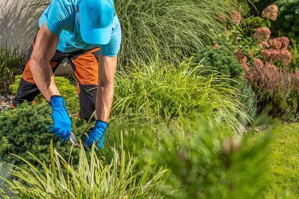 Top 5 Landscaping Tips to Boost Your Home’s Curb Appeal in Milwaukie