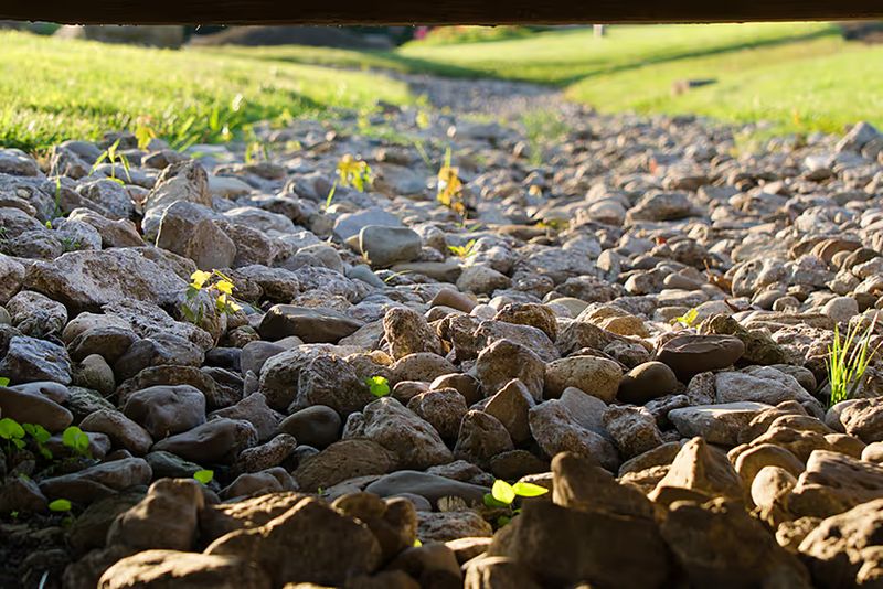 Dry Rock Beds